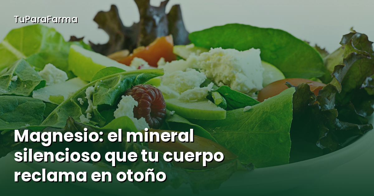Magnesio: el mineral silencioso que tu cuerpo reclama en otoño