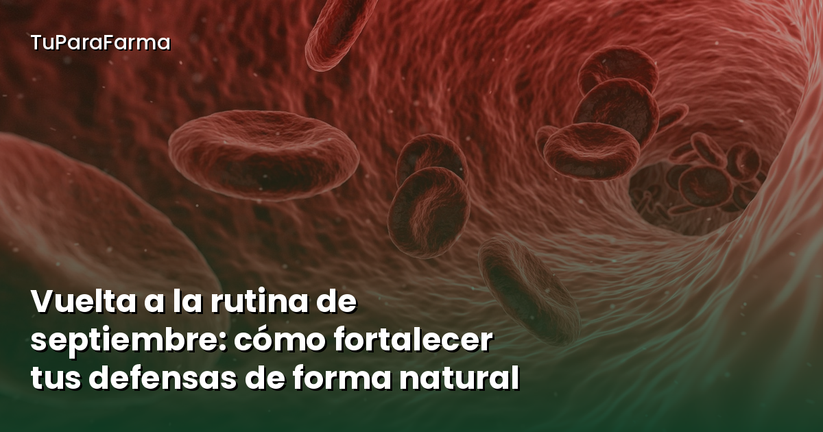 Vuelta a la rutina de septiembre: cómo fortalecer tus defensas de forma natural